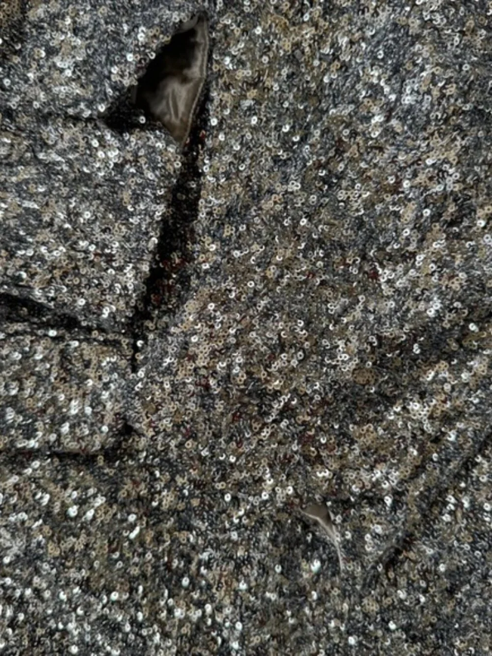 Zadig and Voltaire Vivi Sequin Blazer - Picture 11 of 15